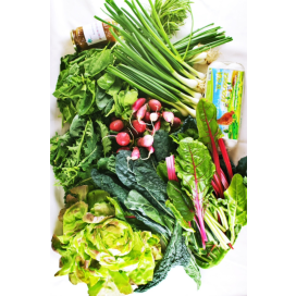 Bio vegetables basket - Familial