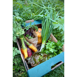 Bio vegetables basket- Single