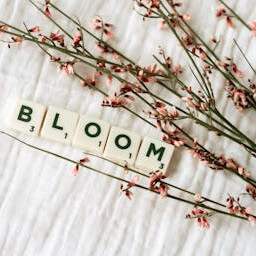on a table a few flowers and written the word bloom